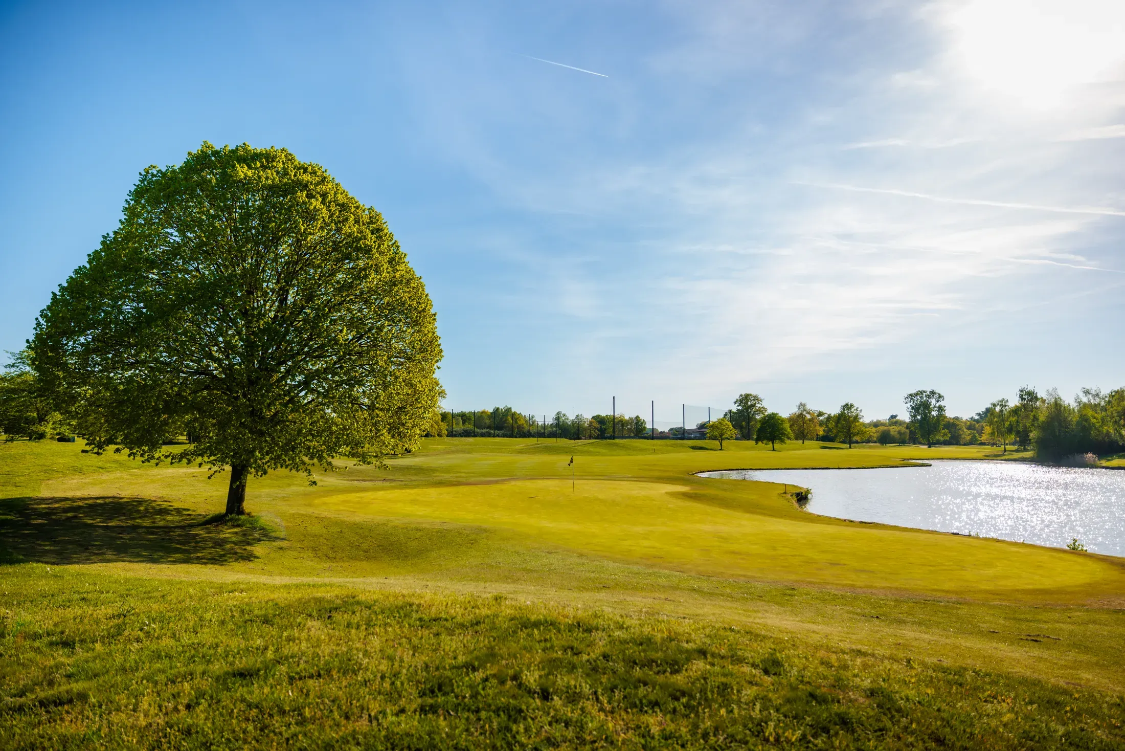 Vroege ochtend op de fairway